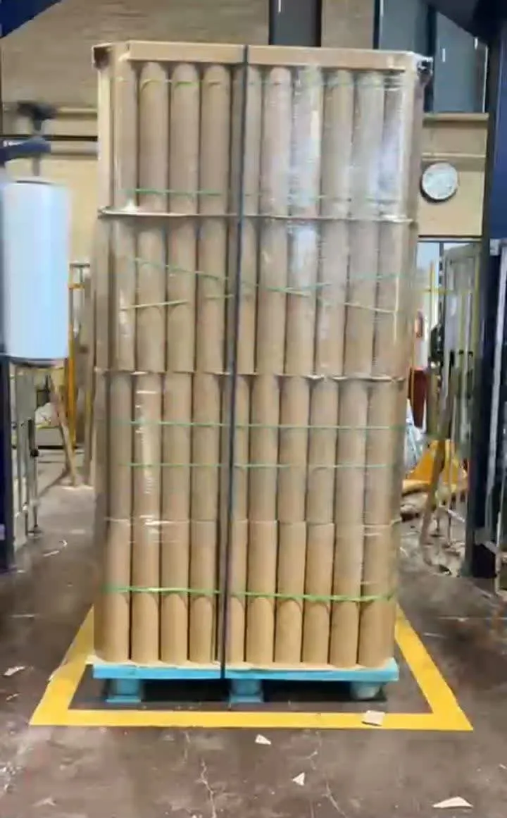 cardboard_roll (6)_result